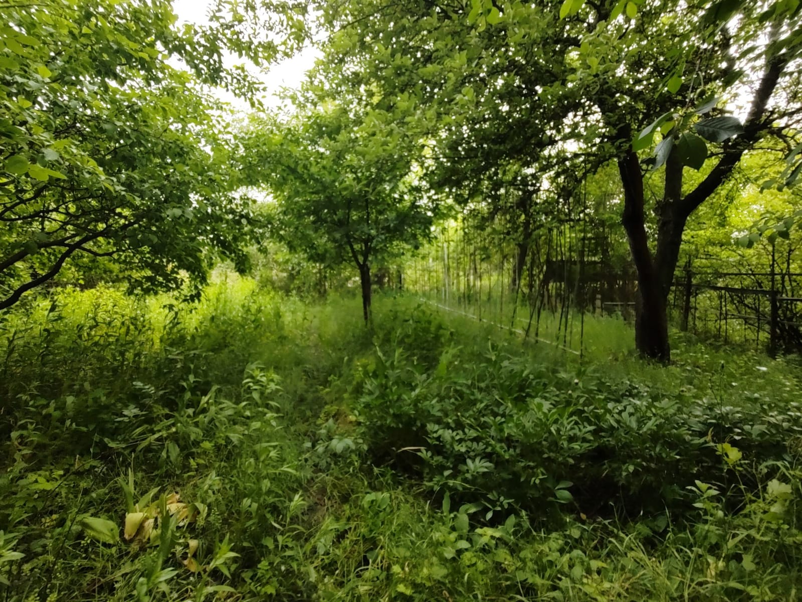 Mieszkanie 3 pok. 53.59 m² na sprzedaż – Warszawa, Okęcie, ul. 1 Sierpnia – zdjęcie 12 z 13
